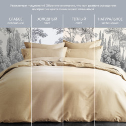Комплект постельного белья  ТМ «Ecotex» поплин светло кремовый, Евро- фото2