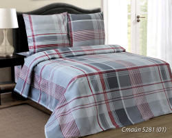 Комплект постельного белья ТМ "Блакит" бязь "Стайл", Дуэт